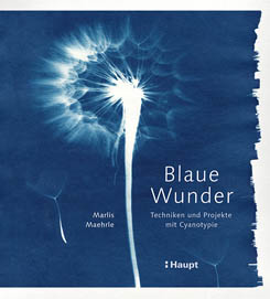 Buch Haupt Blaue Wunder